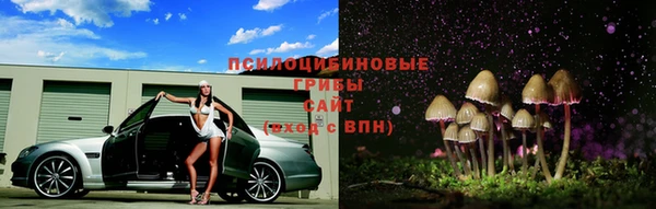 мет Богданович