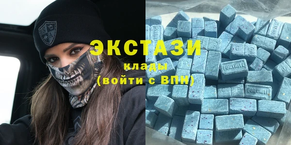 индика Тында